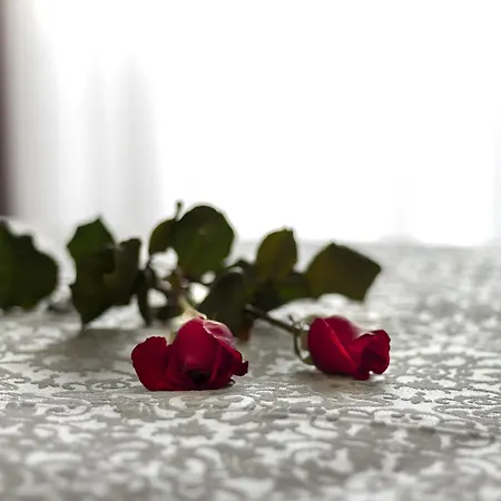 Hotel de apartamente Aspendos Seaside